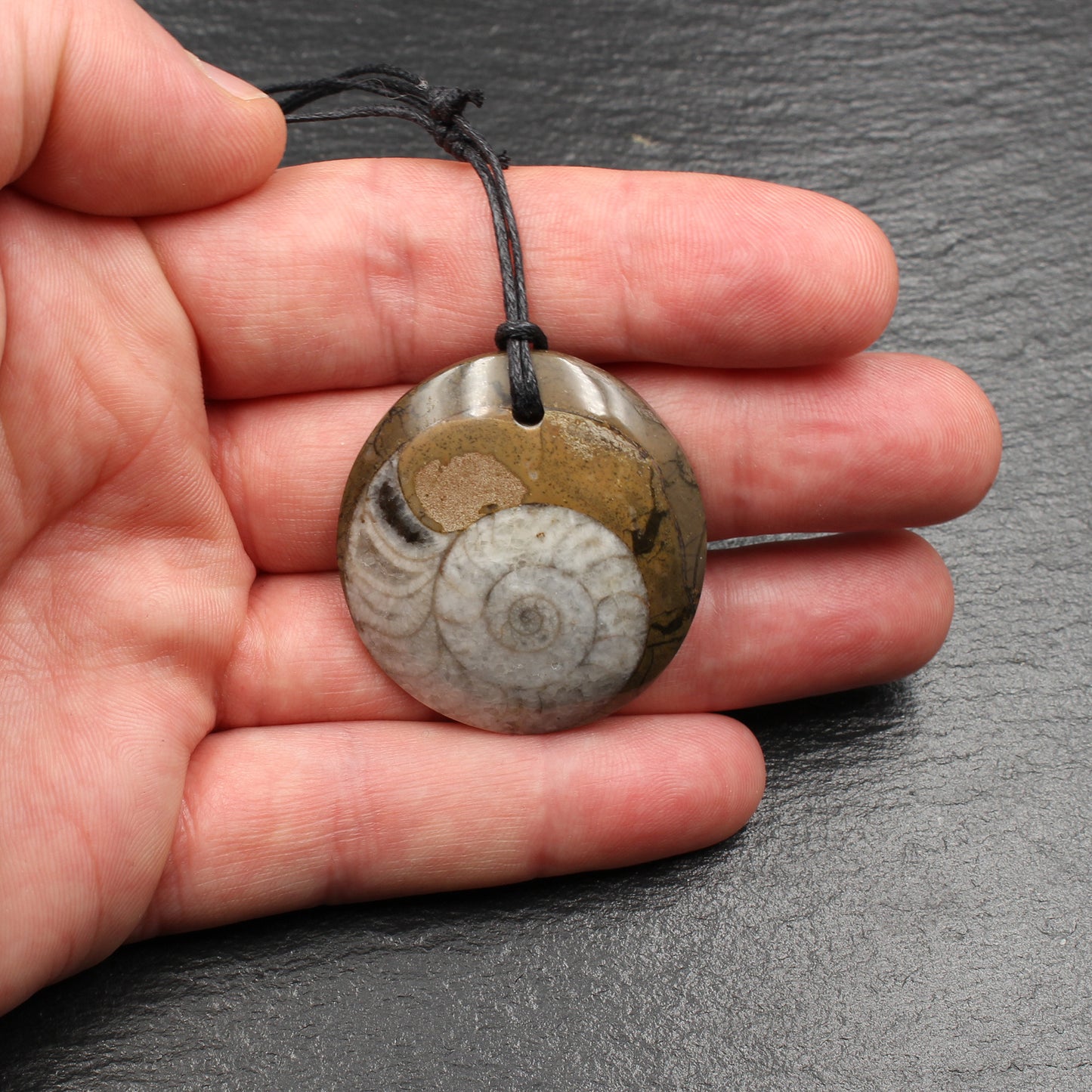 Ammonite Fossil Pendant - Handmade