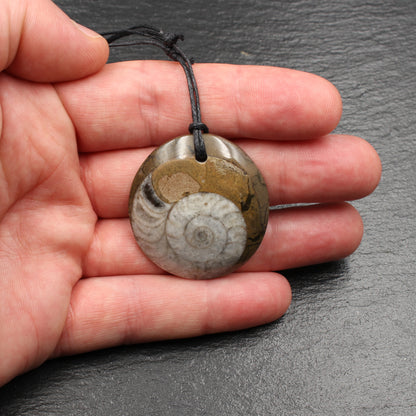 Ammonite Fossil Pendant - Handmade