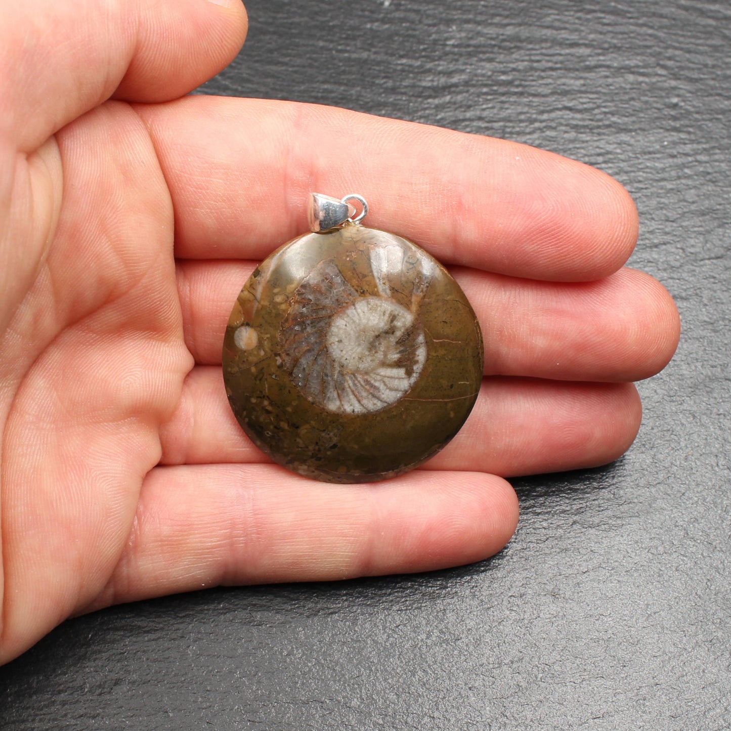 Ammonit Fossil Anhänger - Handarbeit
