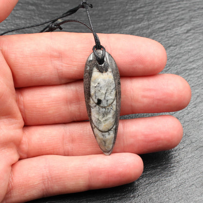 Orthoceras Fossil Anhänger - Handarbeit