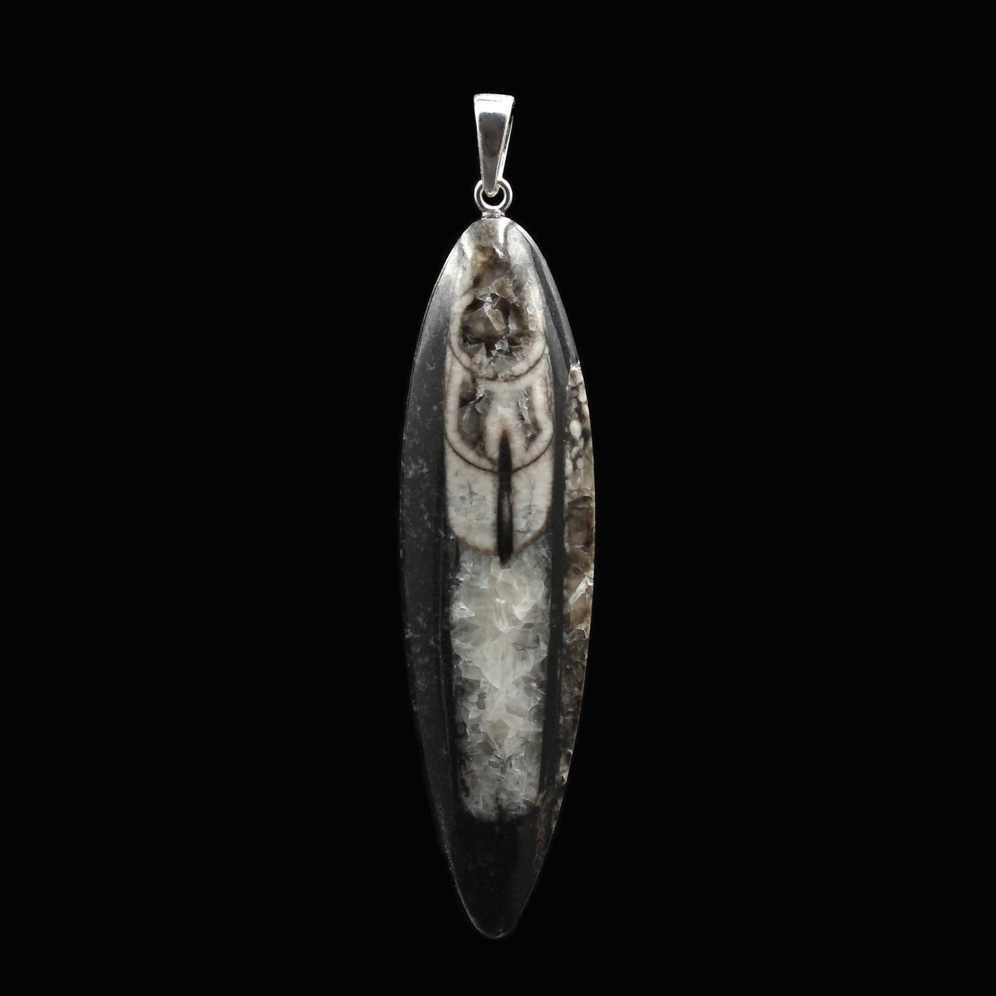 Large Orthoceras Fossil Pendant - Handmade