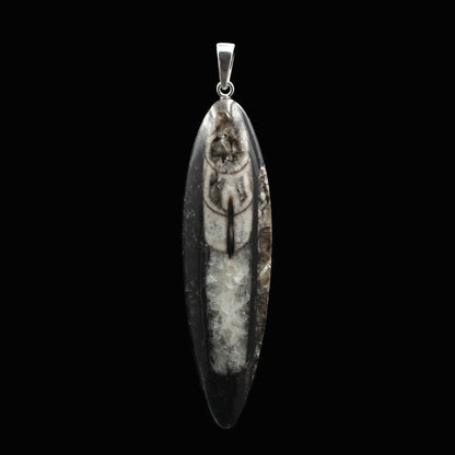 Large Orthoceras Fossil Pendant - Handmade