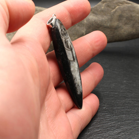 Orthoceras Fossil Anhänger (Groß) - Handarbeit