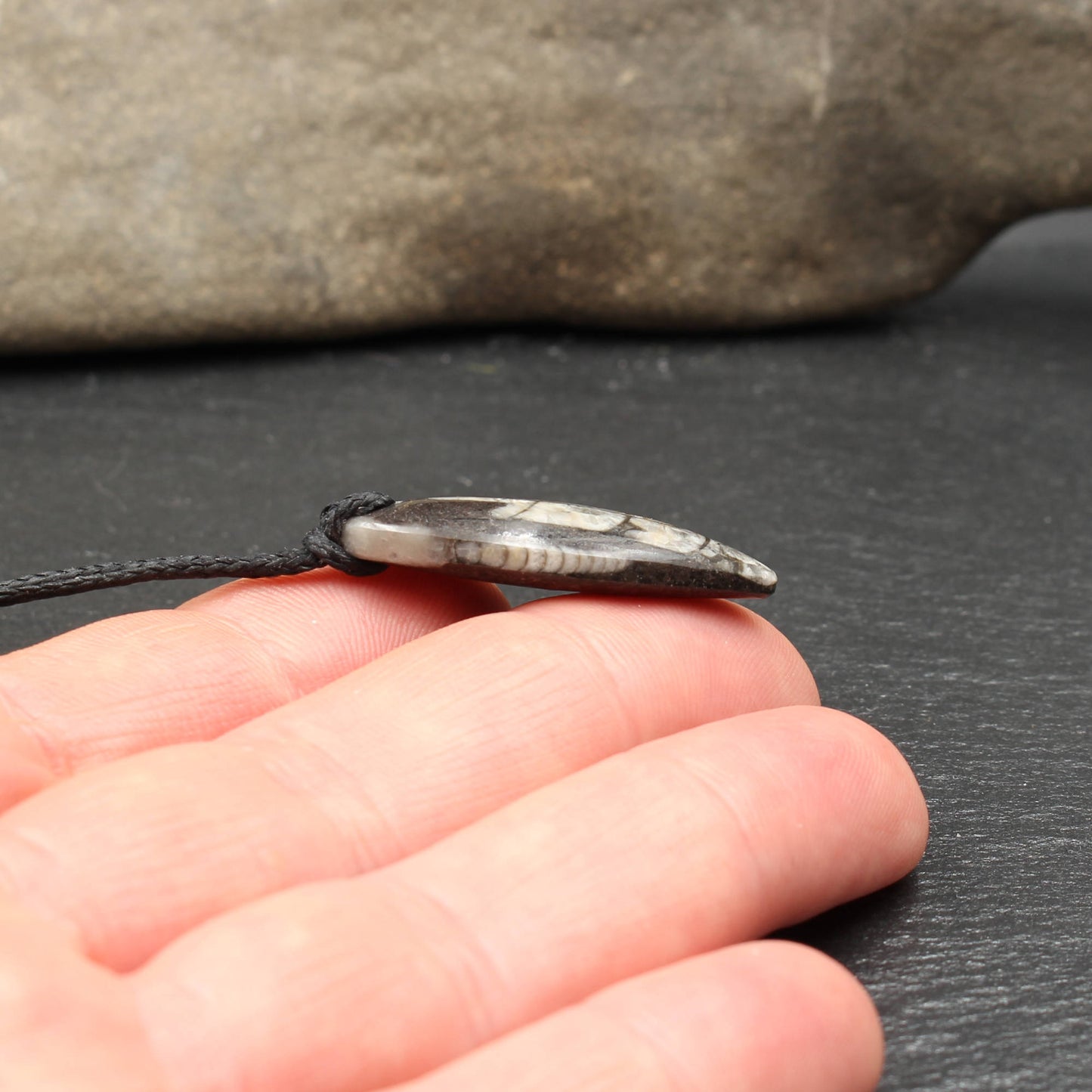 Orthoceras Fossil Anhänger - Handarbeit