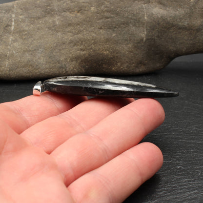Large Orthoceras Fossil Pendant - Handmade