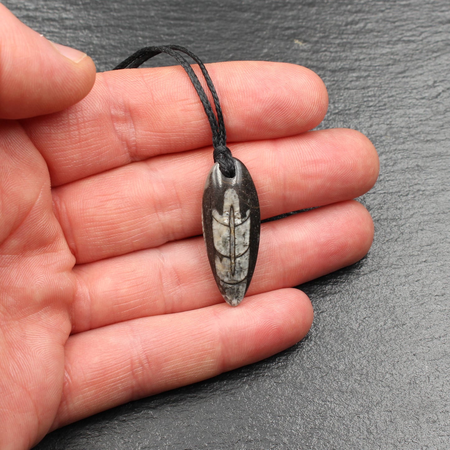 Orthoceras Fossil Anhänger - Handarbeit