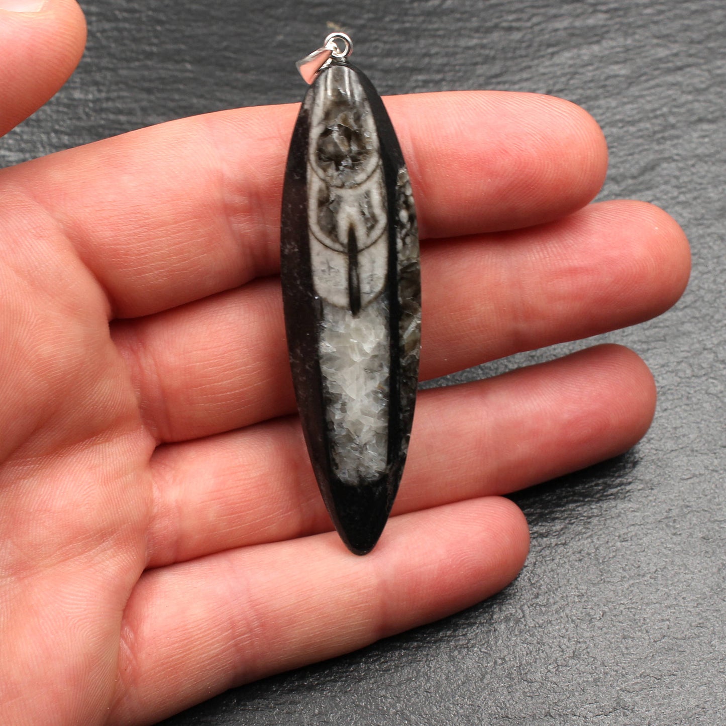 Large Orthoceras Fossil Pendant - Handmade