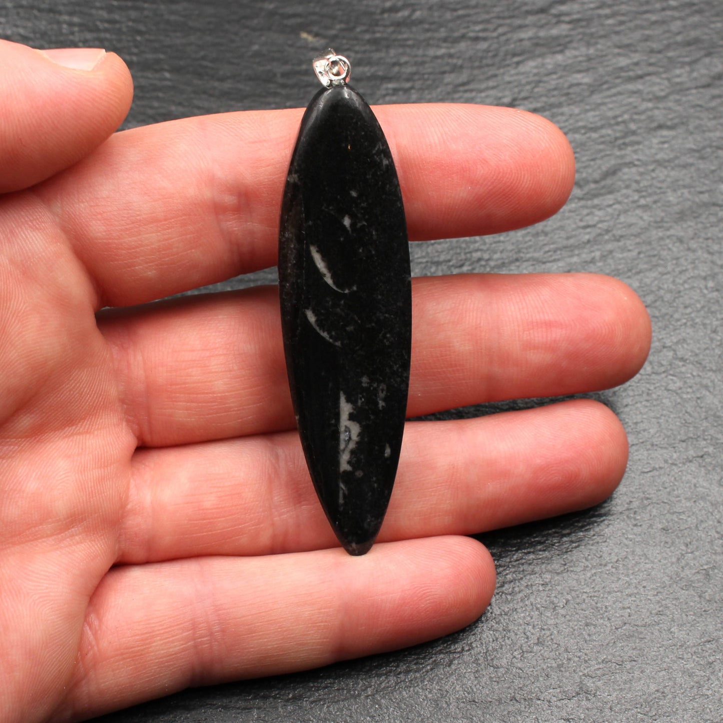Large Orthoceras Fossil Pendant - Handmade