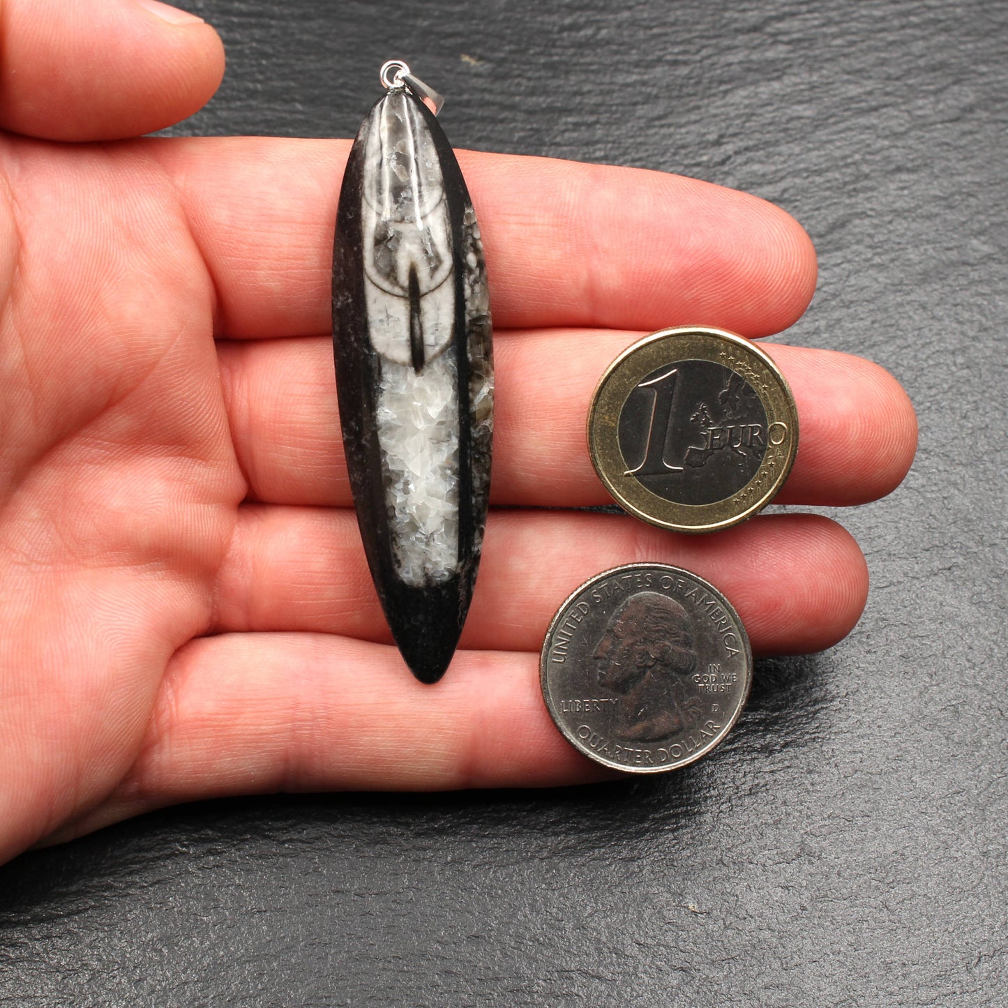 Large Orthoceras Fossil Pendant - Handmade