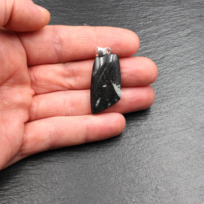 Orthoceras Fossilien in schwarzem Kalkstein Anhänger - Handarbeit