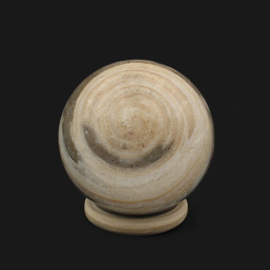 Fossile Gosau Schnecke - Kugel
