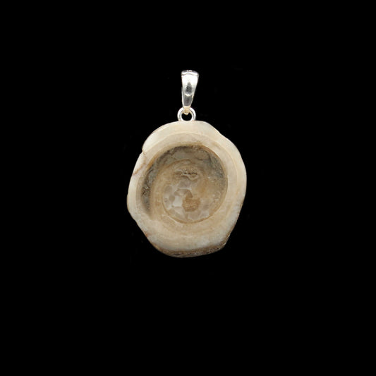Fossile Schnecke Anhänger - Handarbeit
