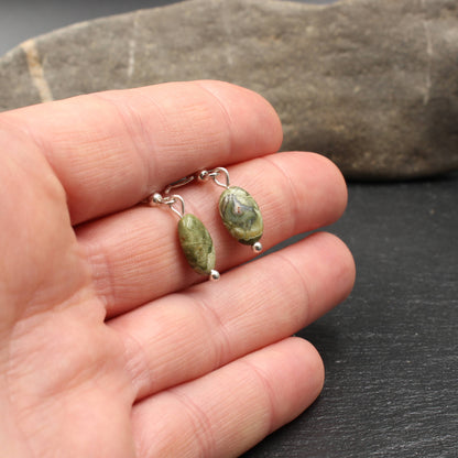 Regenwaldjaspis / Rhyolith Silber Ohrringe