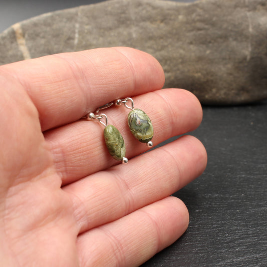 Regenwaldjaspis / Rhyolith Silber Ohrringe