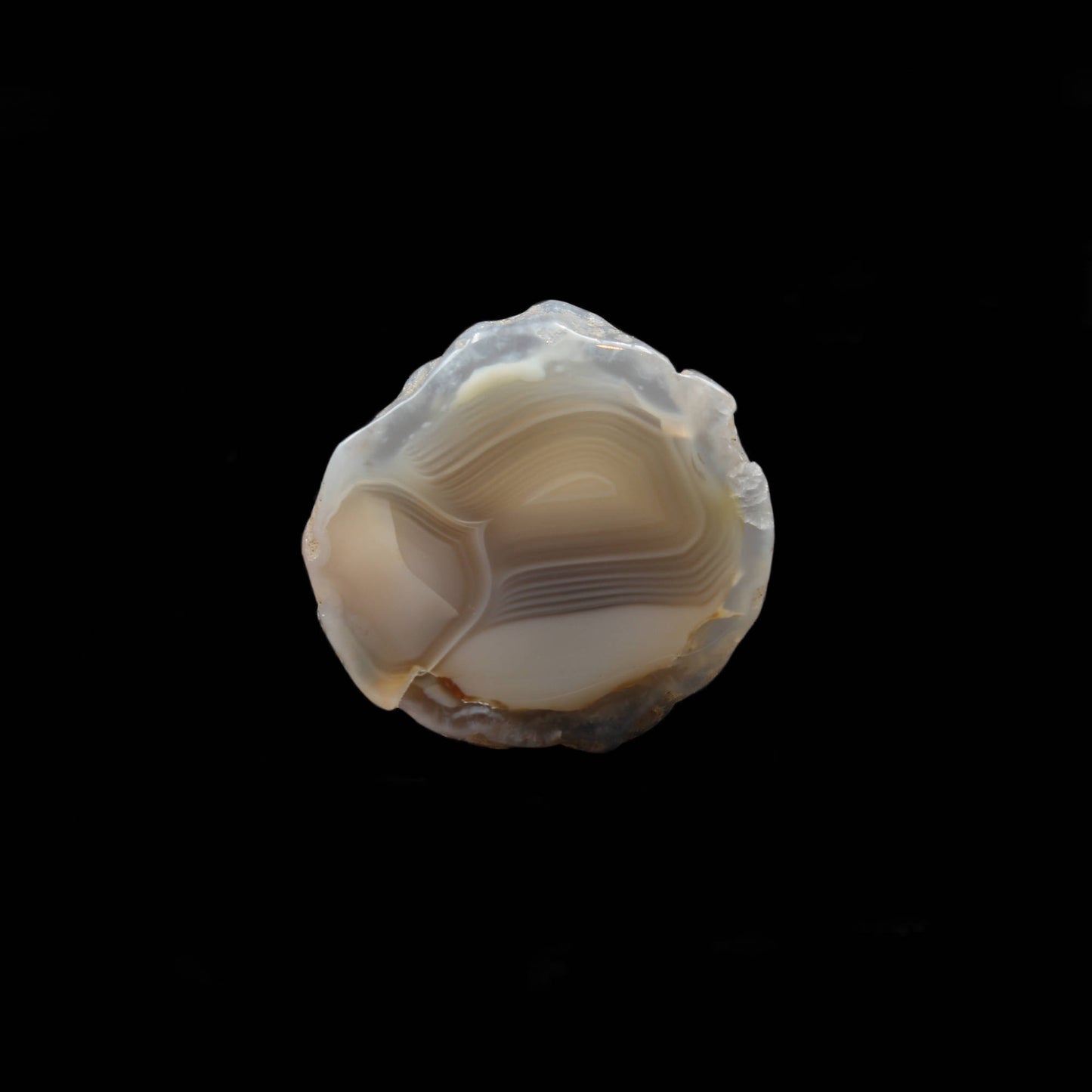 Schottische Achat Scheibe  - Poliert