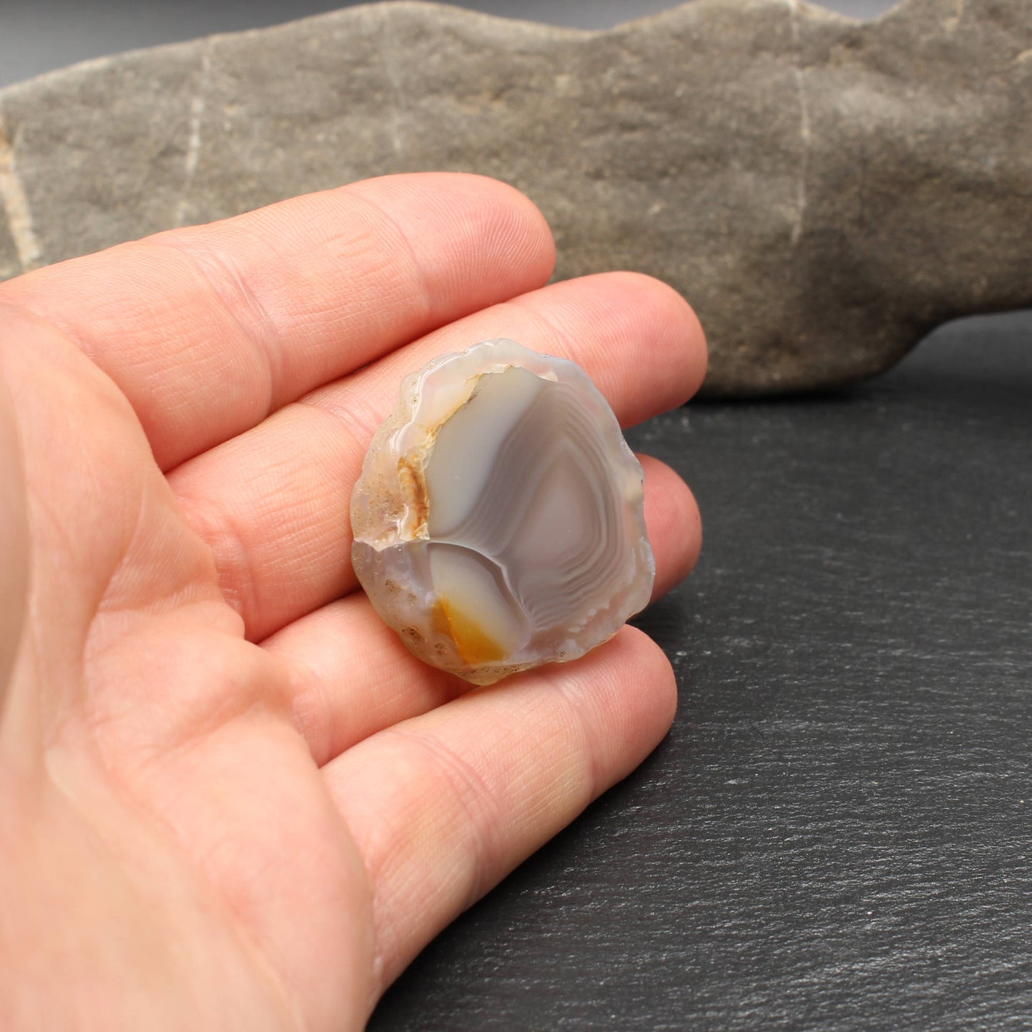 Schottische Achat Scheibe  - Poliert