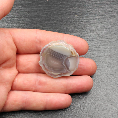 Schottische Achat Scheibe  - Poliert