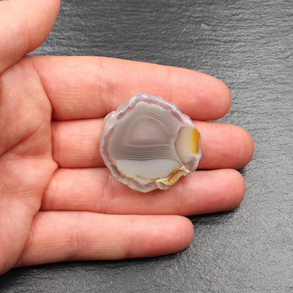 Schottische Achat Scheibe  - Poliert