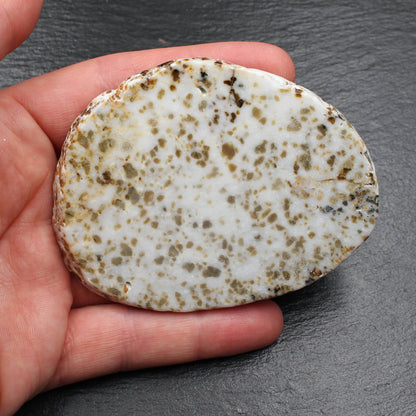 Scottish Iona Marble - Polished Slab