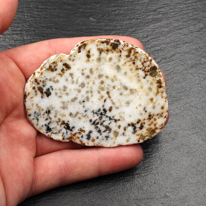 Scottish Iona Marble - Polished Slab