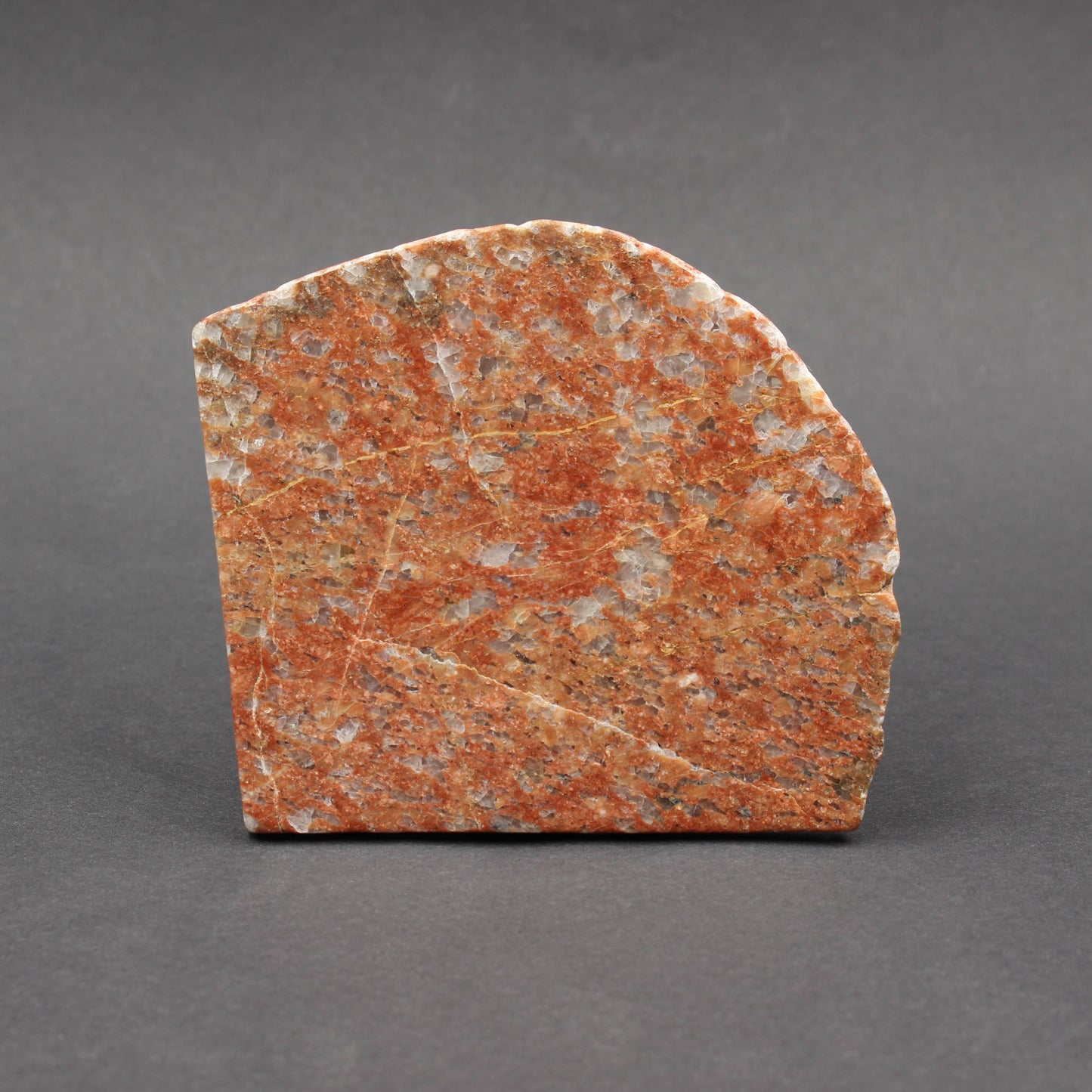 Scottish Lewisian - Polished Disc