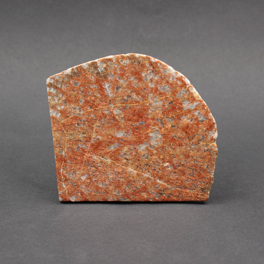 Scottish Lewisian - Polished Disc