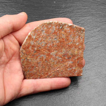Scottish Lewisian - Polished Disc