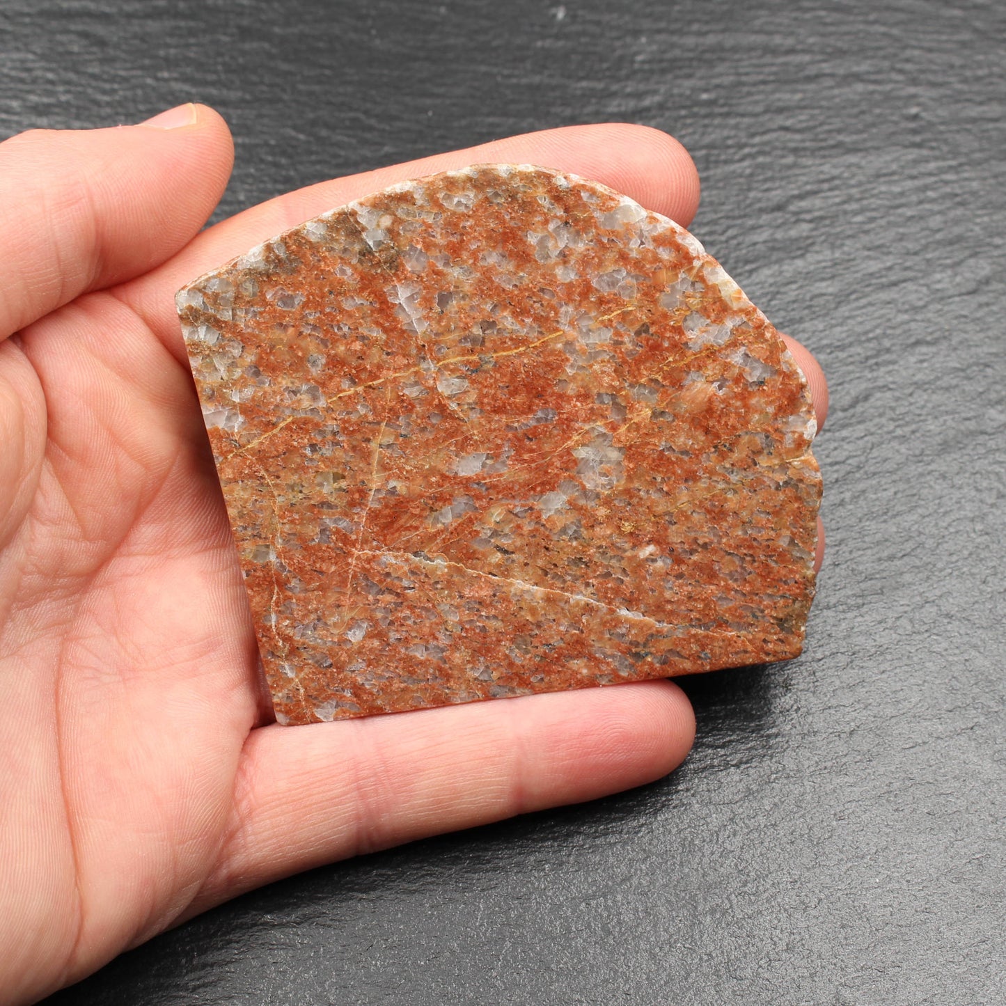 Scottish Lewisian - Polished Disc