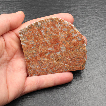 Scottish Lewisian - Polished Disc