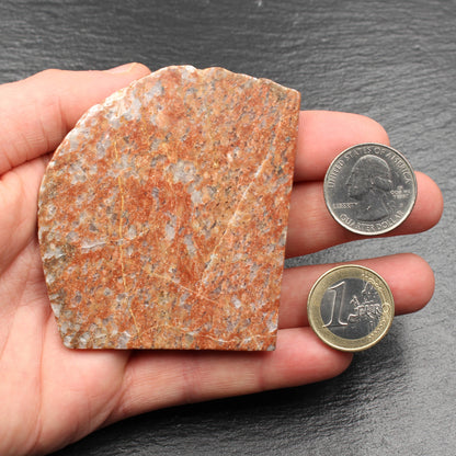 Scottish Lewisian - Polished Disc