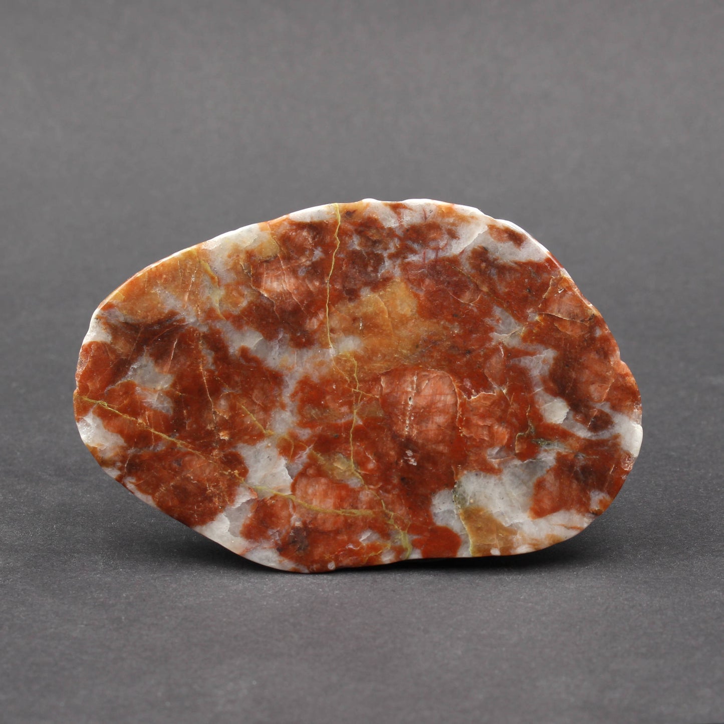 Scottish Lewisian Gneiss - Polished Slice