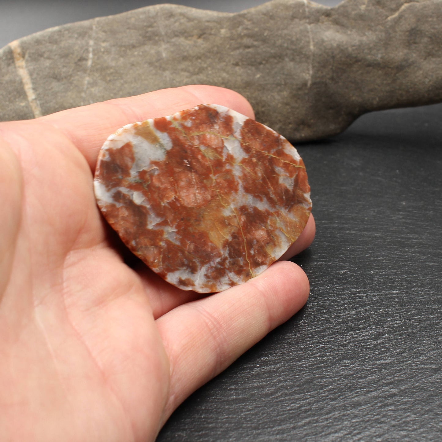 Scottish Lewisian Gneiss - Polished Slice