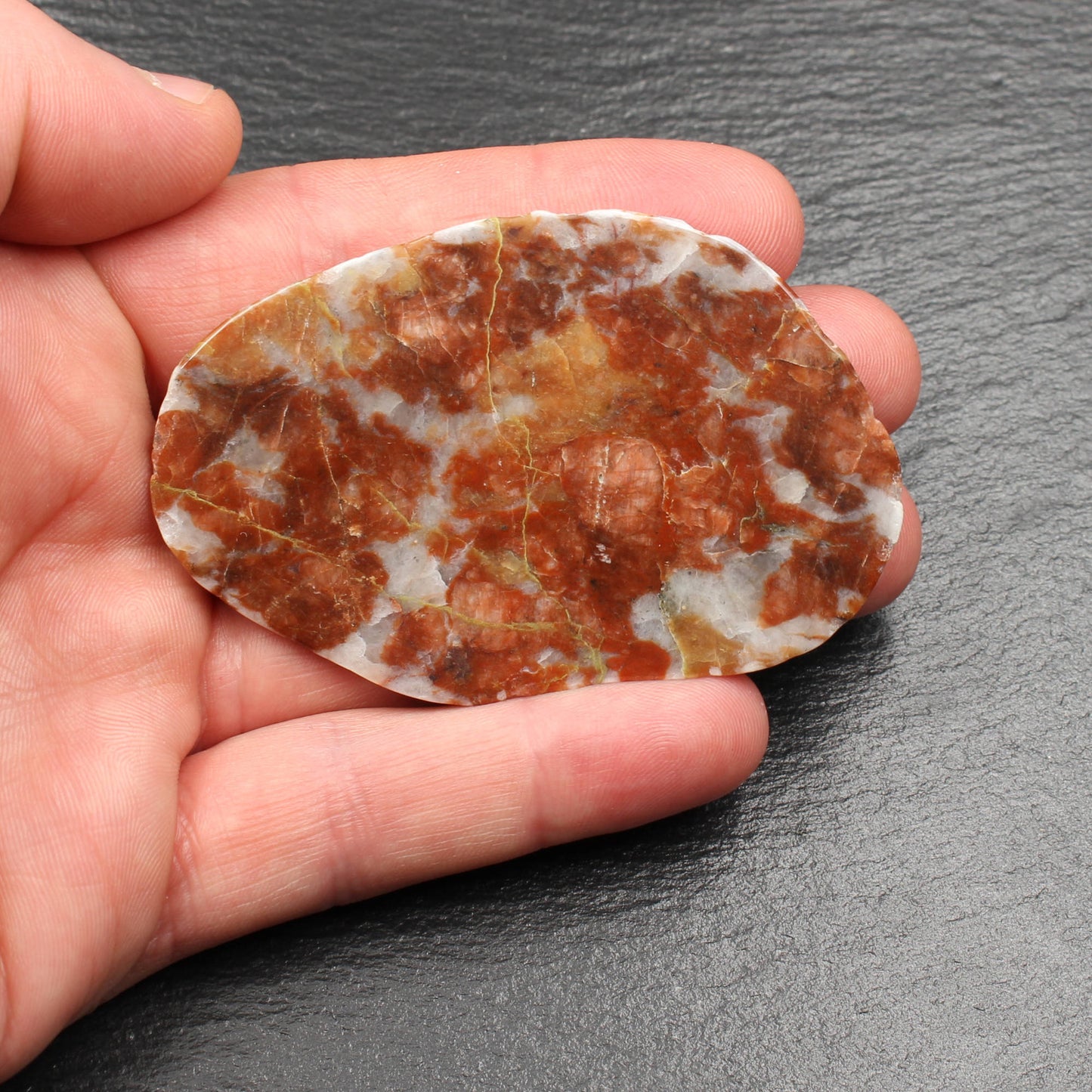 Scottish Lewisian Gneiss - Polished Slice