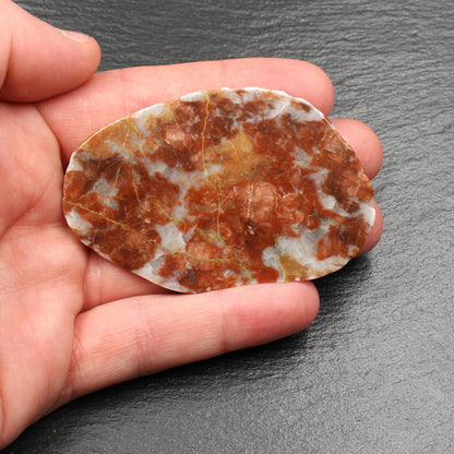 Scottish Lewisian Gneiss - Polished Slice