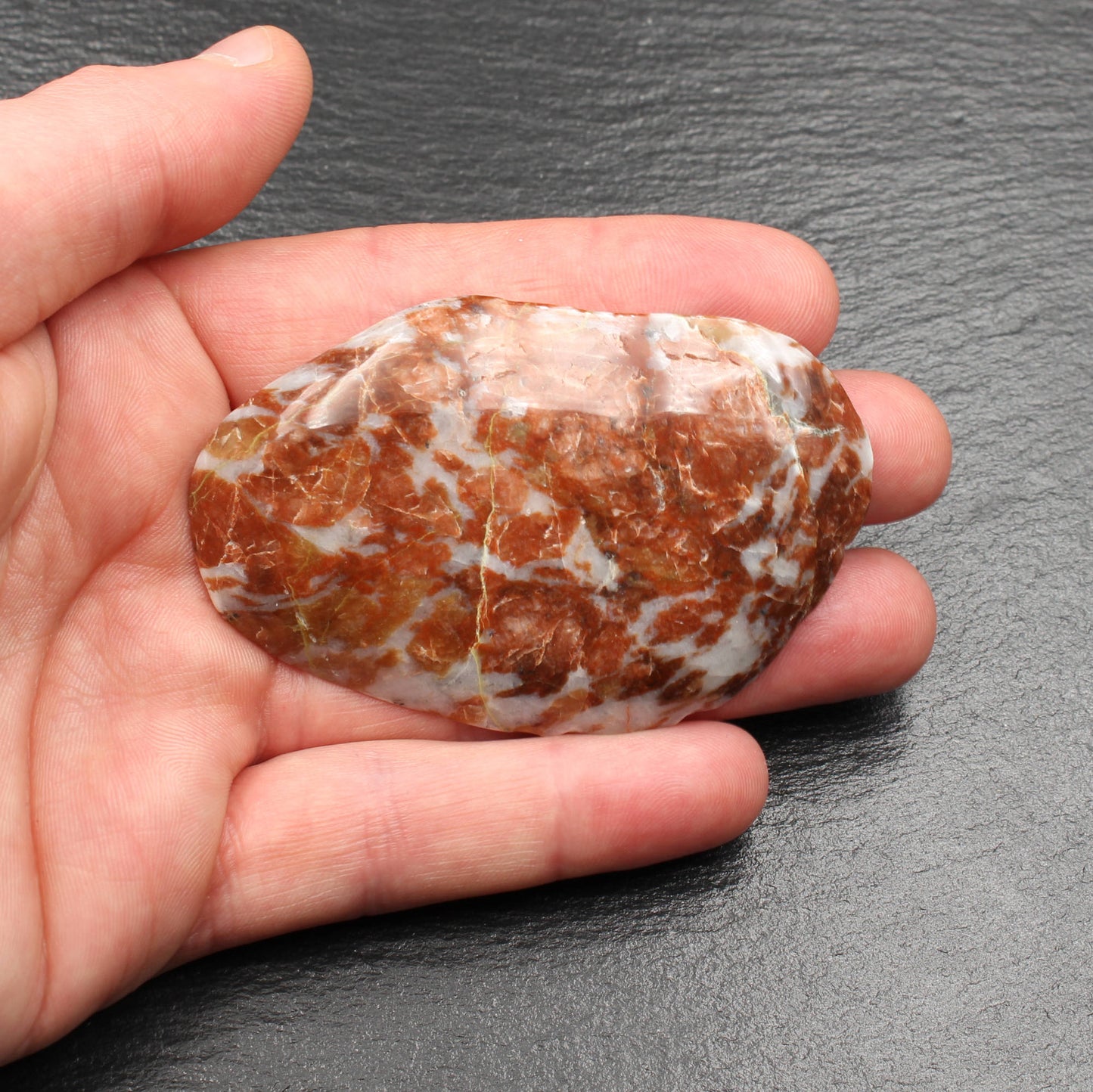 Scottish Lewisian Gneiss - Polished Slice