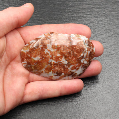 Scottish Lewisian Gneiss - Polished Slice