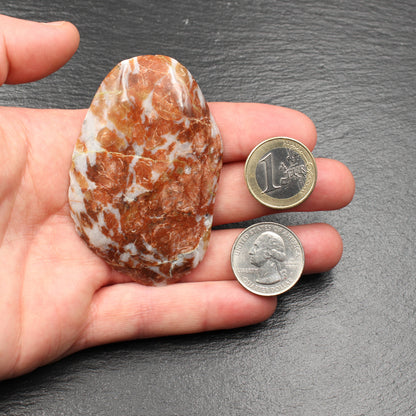 Scottish Lewisian Gneiss - Polished Slice