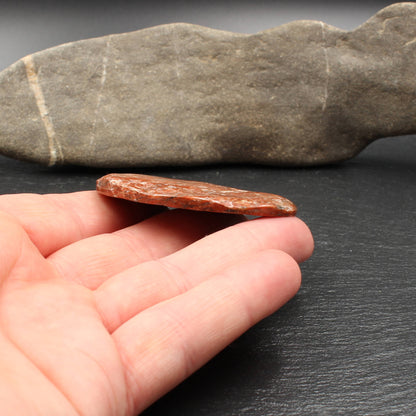 Scottish Lewisian Gneiss - Polished Slice
