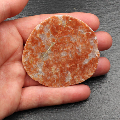 Scottish Lewisian Gneiss - Polished Slice