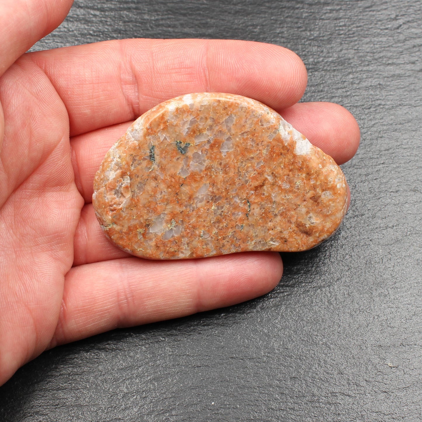 Scottish Lewisian Gneiss - Polished Slice