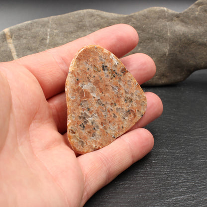 Scottish Lewisian - Polished Disc