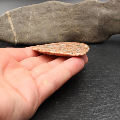 Scottish Lewisian - Polished Disc