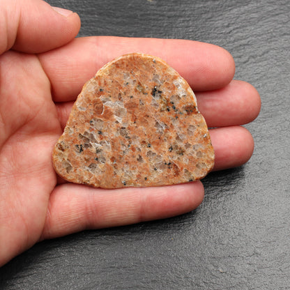 Scottish Lewisian - Polished Disc