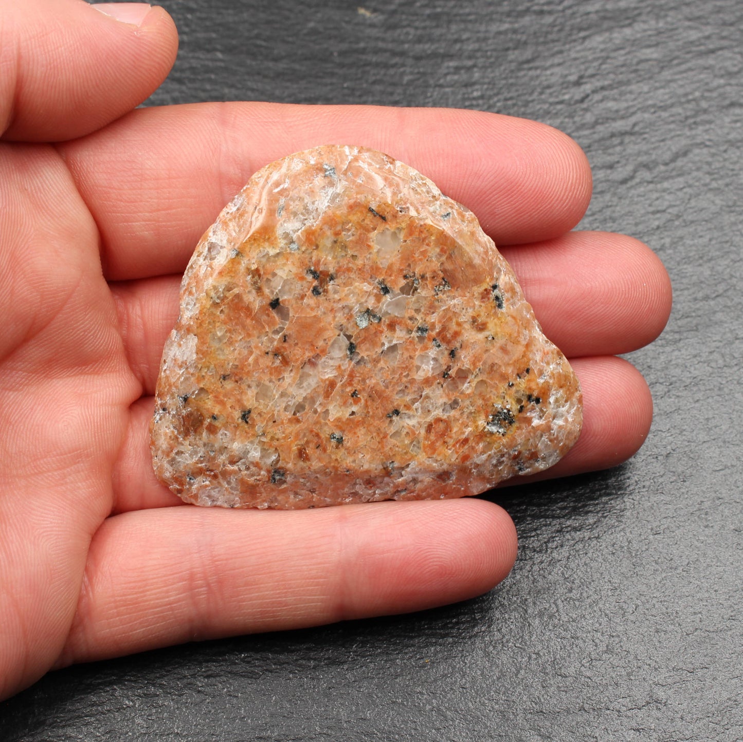 Scottish Lewisian - Polished Disc