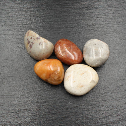 5x Große Rhein Quarz Trommelsteine - Polierte Rheinkiesel