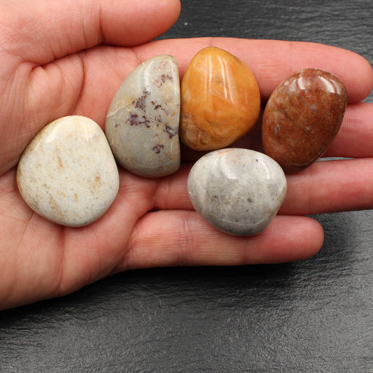 5x Große Rhein Quarz Trommelsteine - Polierte Rheinkiesel