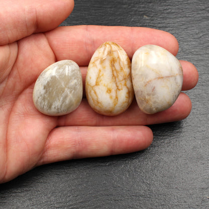 5x Große Rhein Quarz Trommelsteine - Polierte Rheinkiesel