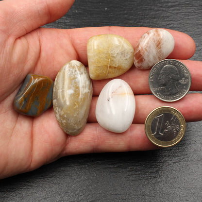 5x Rhein Quarz Trommelsteine