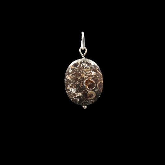 Turritella Achat Anhänger - Fossilien Anhänger