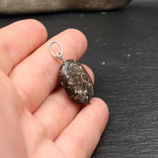 Turritella Achat Anhänger - Fossilien Anhänger